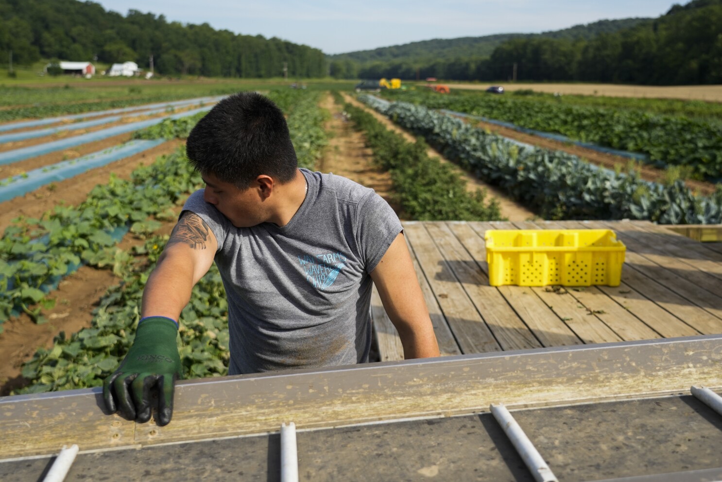 California's farm workers pick America's essential produce