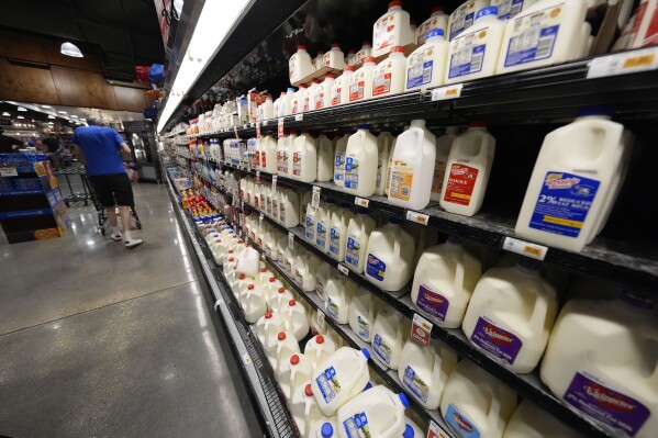 Dairy products line the cooler at a grocery store in New Orleans, April 17, 2024. (AP Photo/Gerald Herbert, File)