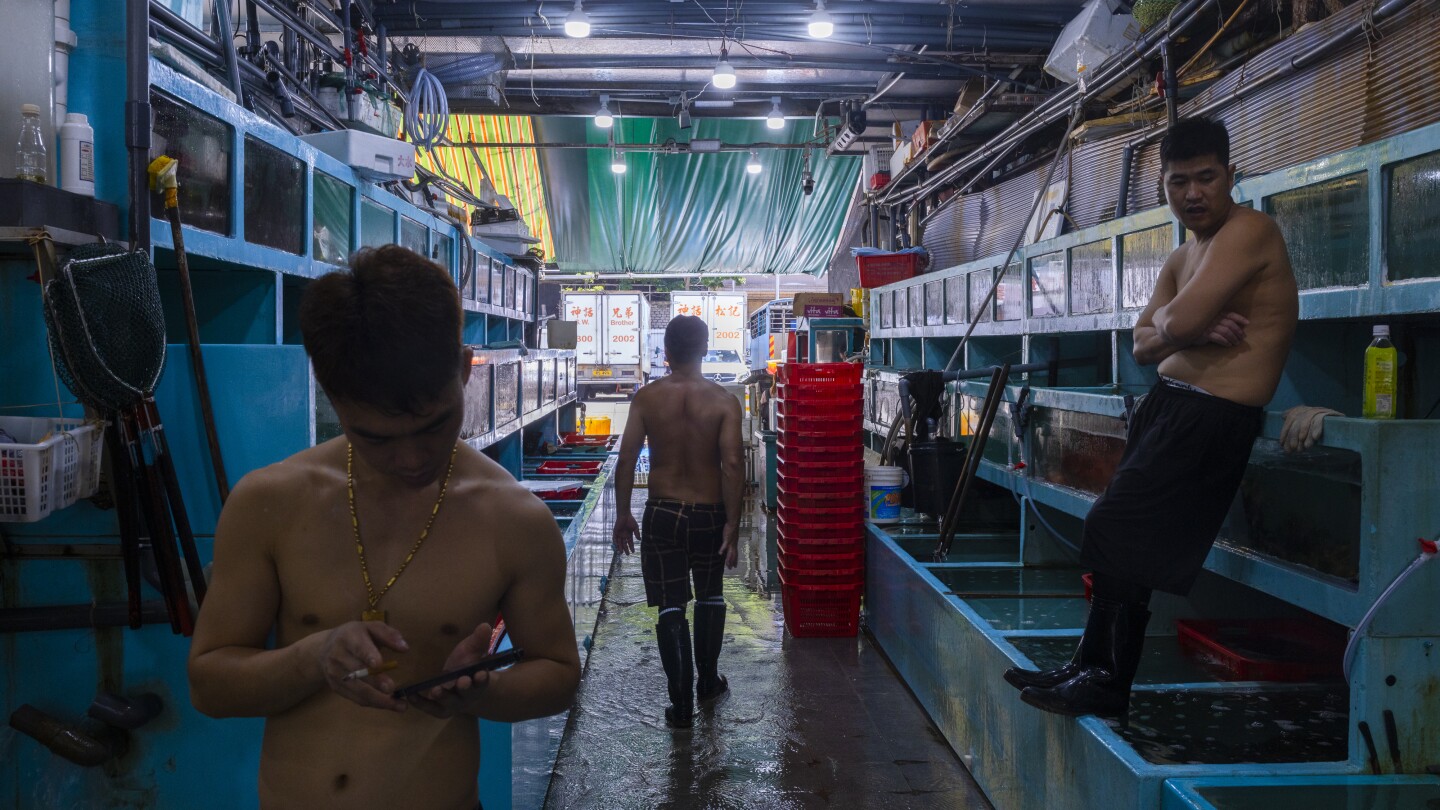 日本の放射性水放出計画で香港の水産物業者、売上減少に直面