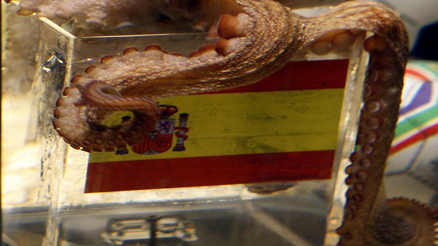 Seer-piston: Octopus oracle memilih Spanyol untuk menang