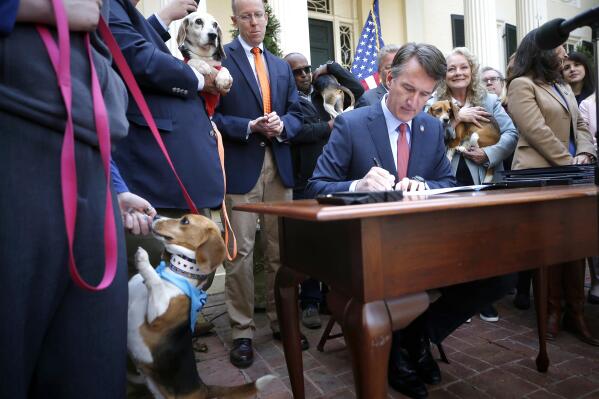 FILE - Emily Neal feeds her adopted dog Tannis a treat as Virginia Gov. Glenn Youngkin signs five bills to penalize animal cruelty and prohibit the sale of dogs or cats for experimental purposes on Monday, April 4, 2022 in Richmond, Va. Federal officials have accused Envigo, a company that runs a Virginia facility breeding dogs for research, of violating animal welfare law and recently seized at least 145 beagles found to be in “acute distress,” according to a lawsuit filed, Thursday, May 19, 2022. (Alexa Welch Edlund/Richmond Times-Dispatch via AP, File)