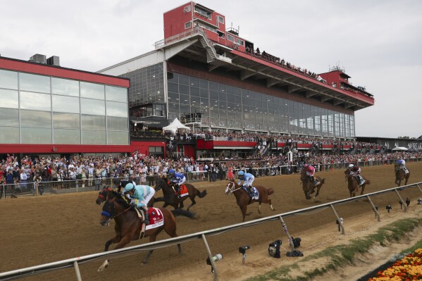 FILE - National Treasure, bottom left, with John Velazquez, leads the pack toward the first turn during the148th running of the Preakness Stakes horse race at Pimlico Race Course, May 20, 2023, in Baltimore. Treasure was picked Sunday, Jan. 21, 2024, as the 9-5 favorite for Saturday's $3 million Pegasus World Cup Invitational at Gulfstream Park in Hallandale Beach, Fla. (AP Photo/Julia Nikhinson, File)