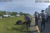 FILE - This image taken from police body cam video shows a police dog attacking Jadarrius Rose, 23, of Memphis, Tenn., on Tuesday, July 4, 2023, in Circleville, Ohio. An Ohio police department has fired an officer who released his police dog on a surrendering truck driver even after state troopers told him to hold the dog back. A statement issued Wednesday, July 26, 2023, by Circleville police said Ryan Speakman “did not meet the standards and expectations we hold for our police officers” and that he has been “terminated from the department, effective immediately.” (Ohio State Highway Patrol via AP, File).