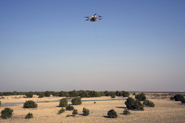 A drone pours mangrove seeds over a lagoon at Al Nouf area southwest of Abu Dhabi, United Arab Emirates, Wednesday, Oct. 11, 2023. Abu Dhabi National Oil Co. (ADNOC), earlier this year began using drones to scatter mangrove seeds, part of what it touted as a sustainability effort to plant some 2.5 million of the carbon-storing plants. (AP Photo/Kamran Jebreili)