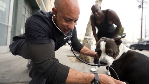 Dr. Kwane Stewart checks a dog's health in the Skid Row area of Los Angeles on Wednesday, June 7, 2023. “The Street Vet,” as Stewart is known, has been supporting California's homeless population and their pets for almost a decade, ever since he helped a man with a flea-infested dog outside of a convenience store. (AP Photo/Damian Dovarganes)