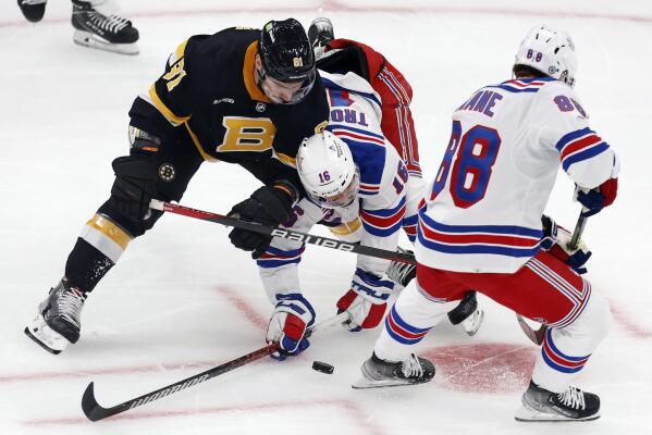Boston Bruins Basic Collectors NHL Hockey Game Puck