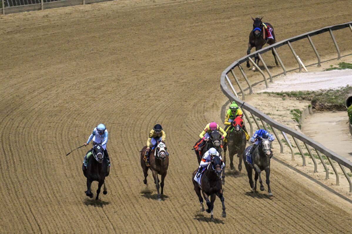 One Baffert horse euthanized on track on undercard before another