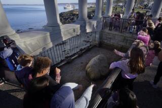 Schoolchildren gather around Plymouth Rock, Tuesday, Nov. 22, 2022, in Plymouth, Massachusetts. Tourists annually make a Thanksgiving trek to the rock along the harbor, the symbolic spot where the Pilgrims landed more than 400 years ago. Social media users have falsely claimed that a photo of Plymouth Rock shows that sea levels have not risen. (AP Photo/Charles Krupa)