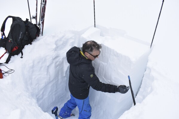 Doug Chabot, with the Gallatin National Forest Avalanche Center, isolates a column of snow to test the potential for avalanches in the area of Lulu Pass, Jan. 29, 2024, near Cooke City, Mont. (AP Photo/Matthew Brown)