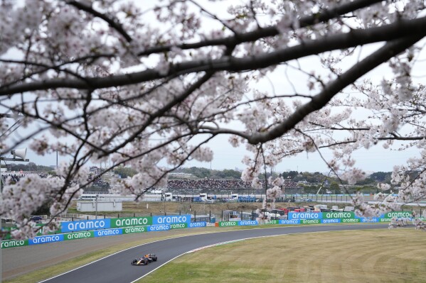2024年4月5日金曜日、日曜日のF1日本グランプリに先立って、日本の中央部鈴鹿市にある鈴鹿サーキットでの最初のフリー走行セッションに参加するオランダのレッドブルドライバー、マックス・フェルスタッペンが桜の花をドライブする。  （AP写真／熊井宏）