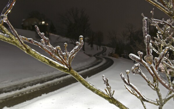 About a quarter inch of ice can be seen on tree branches in Charleston, W.Va. on Monday, Jan. 6, 2025 following a snow and ice storm that fell in the afternoon and through the night from Jan. 5 to Jan. 6. (Christopher Millette/Charleston Gazette-Mail via AP)