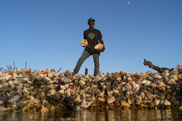 Leroy Glinton, a fourth generation conch fisherman, stands on a pile of discarded shells outside his home in McLean's Town, Grand Bahama Island, Bahamas, Saturday, Dec. 3, 2022. Glinton makes artistic spoons, bowls and jewelry in an effort to conserve the conch and create additional income from the use of its shell. "There's a lot more creation you can come up with the conch shell, " said Glinton. "As we just fish the conchs now, we have huge piles of them just sitting there." (AP Photo/David Goldman)