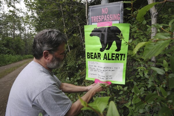 FILE - A property owner posts a bear warning sign on private property near a recent bear attack, July 22, 2012, In Ankorage, Alaska. So long as they don't eat them, stuff them or turn them into hats for the British royal guard, Floridians will be able to kill black bears threatening them on their property with no consequences under a bill sent to Republican Gov. Ron DeSantis on Thursday, March 7, 2024. (AP Photo/Anchorage Daily News, Bill Roth, File)