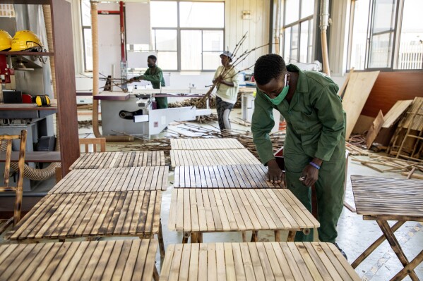 Um trabalhador toca numa mesa numa fábrica de bambu em Wakiso, Uganda, em 13 de março de 2024. O cultivo de bambu está em ascensão no Uganda, onde esta cultura resistente e de rápido crescimento é vista pelo governo como tendo um verdadeiro potencial de crescimento. As empresas podem transformá-lo em móveis e outros produtos. (Foto AP/Dipak Moses)