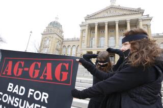 FILE - Subrey Zill, left, puts on a blindfold as Melinda Ellwanger holds a large sign with members of Mercy For Animals, a national animal advocacy group, as they protest the passage "Ag Gag" at the Iowa state Capitol in Des Moines, March 1, 2012. A federal judge has struck down the third attempt by the Iowa Legislature to stop animal welfare groups from secretly filming livestock abuse, finding once again that the law passed in 2021 violates free speech rights in the U.S. Constitution. (Justin Hayworth/The Des Moines Register via AP, File)