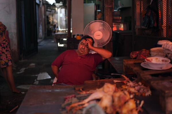 A vendor rests near fans on a hot afternoon at his shop in Market 4, Asuncion, Paraguay on January 17, 2025 (AP Photo/Jorge Saenz, File)