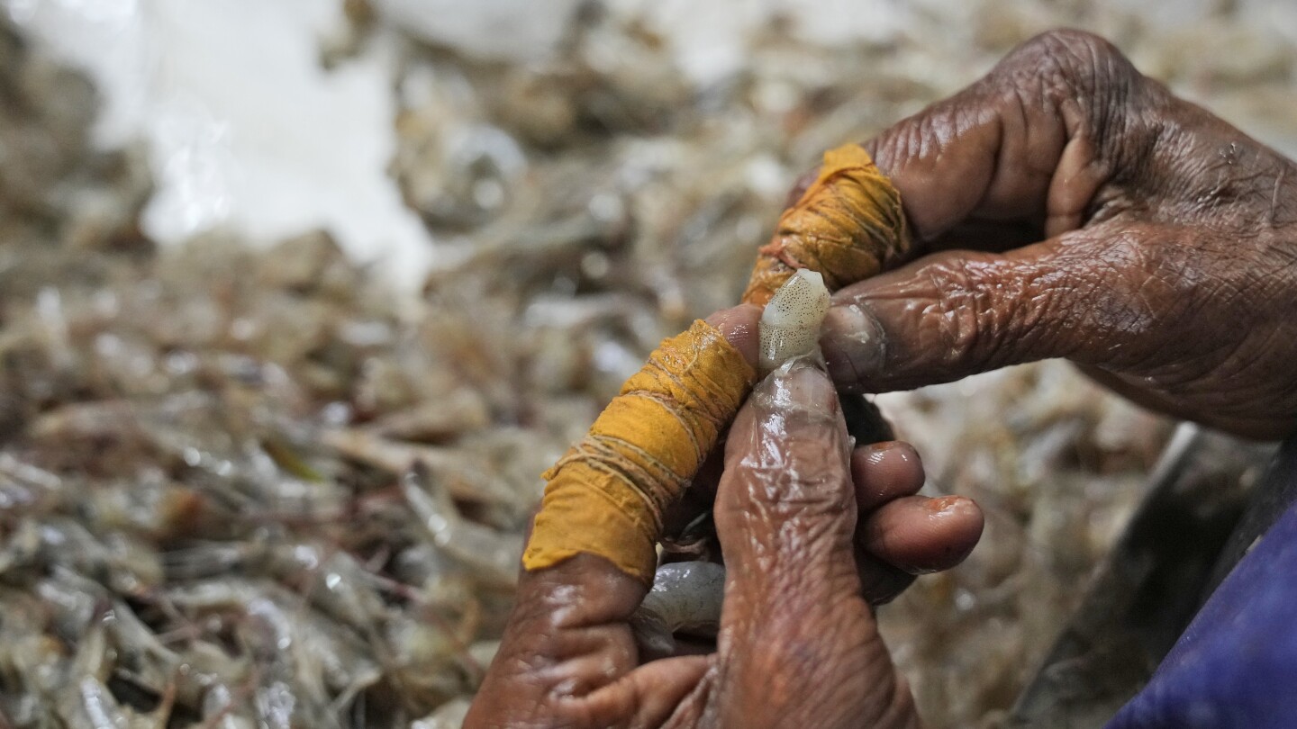 AP документира изтощителните условия в индийската индустрия за производство на скариди, които съобщават, че са „опасни и обидни“