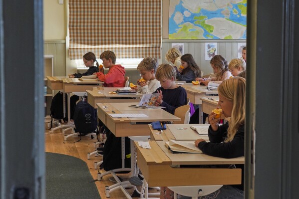 swedish education