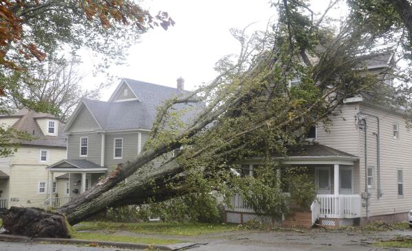 Fallen trees lean against a house in Sydney, N.S. as post tropical storm Fiona continues to batter the Maritimes on Saturday, Sept. 24, 2022.  Strong rains and winds lashed the Atlantic Canada region as Fiona closed in early Saturday as a big, powerful post-tropical cyclone, and Canadian forecasters warned it could be one of the most severe storms in the country's history.(Vaughan Merchant /The Canadian Press via AP)