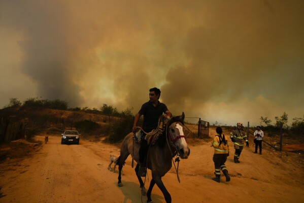 A resident flees an encroaching forest fire in Vina del Mar, Chile, Saturday, Feb. 3, 2024. Officials say intense forest fires burning around a densely populated area of central Chile have left several people dead and destroyed hundreds of homes. (AP Photo/ Esteban Felix)