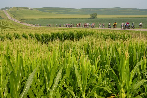 Riders, participating in RAGBRAI 50, (Register’s Annual Great Bicycle Ride Across Iowa), roll out of Sioux City towards Kingsley, Iowa, Sunday, July 23, 2023. (Zach Boyden-Holmes/The Des Moines Register via AP)