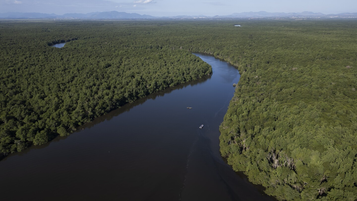 Повторното залесяване в залива на Рио де Жанейро показва силата на мангровите гори да смекчават климатичните бедствия