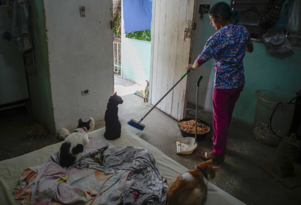 A kitten named Mini, center, watches veterinary technician Elizabeth Meade sweep the floor at the Adoptions for Love animal shelter she founded in Havana, Cuba, Wednesday, Oct. 2, 2024. (AP Photo/Ramon Espinosa)
