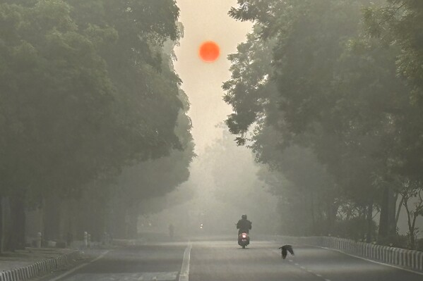 Sun rises as a motorist drives amidst morning smog in New Delhi, India, Monday, Dec. 25, 2023. Dense fog enveloped Delhi on Monday, bringing visibility down to zero and severely disrupting air, rail and road transport. (AP Photo/Manish Swarup)