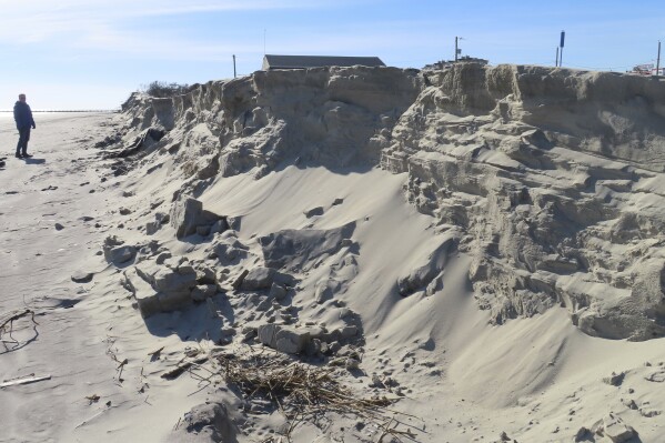 A severely eroded section of sand dune lines the beach in North Wildwood N.J., Jan. 22, 2024. A recent winter storm punched a hole through what is left of the city's eroded dune system, leaving it more vulnerable than ever to destructive flooding as the city and state fight in court over how best to protect the popular beach resort. (AP Photo/Wayne Parry)