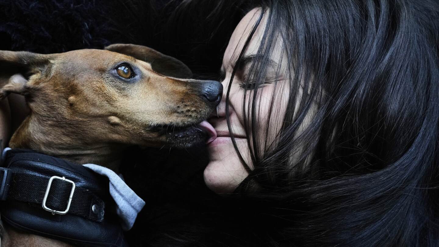 AP PHOTOS: As more Argentines go childless, pampered dogs become part of the family