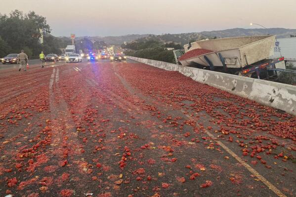 In this photo provided by the California Highway Patrol is the scene where a truck hauling a load of the tomatoes crashed after a collision near Vacaville, Calif., Monday, Aug. 29, 2022. The load spilled across several lanes of Highway 80 in Northern California. Crews had cleaned the eastbound lanes but one westbound lane remained closed six hours after the crash, the CHP said. (California Highway Patrol via AP)