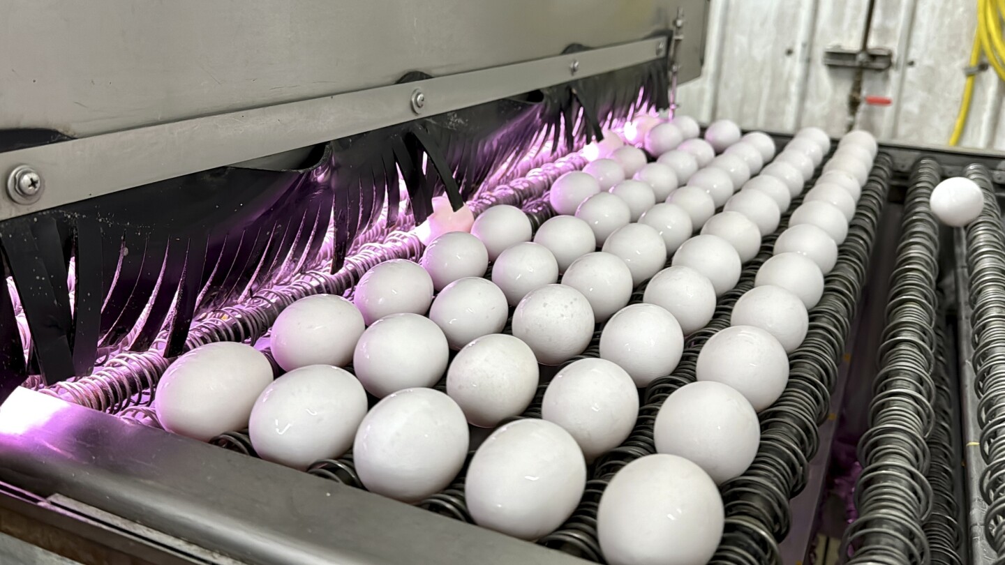Цените на яйцата са почти до исторически върхове в много
