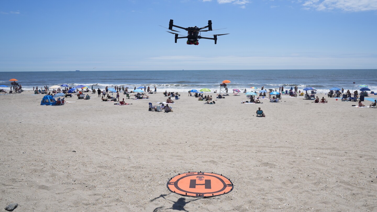 Angry birds fight drones on patrol for sharks and swimmers on NYC beaches