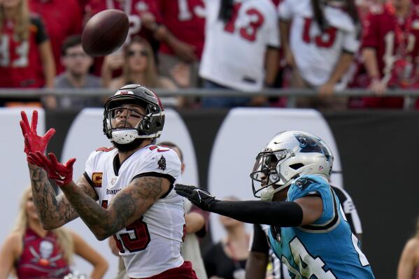 Panthers' division title hopes dashed in 30-24 loss to Bucs