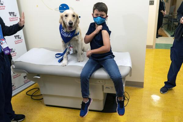 Carter Giglio, 8, joined by service dog Barney of Hero Dogs, shows off the bandaid over his injection site after being vaccinated, Wednesday, Nov. 3, 2021, at Children's National Hospital in Washington. The U.S. enters a new phase Wednesday in its COVID-19 vaccination campaign, with shots now available to millions of elementary-age children in what health officials hailed as a major breakthrough after more than 18 months of illness, hospitalizations, deaths and disrupted education. (AP Photo/Carolyn Kaster)