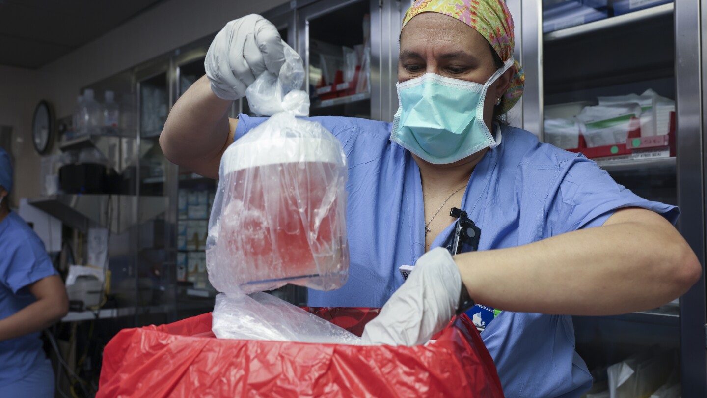 US man gets pig kidney in groundbreaking transplant