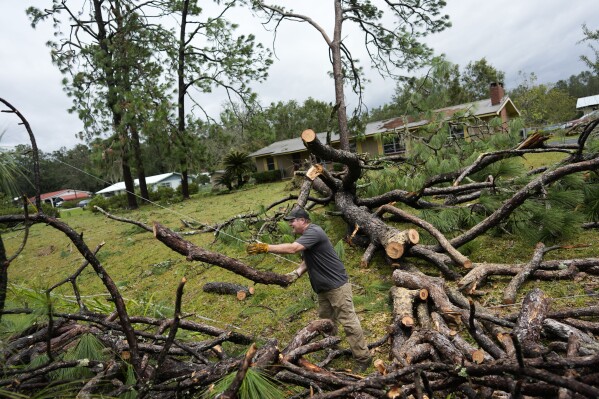Joe Morgan, 53, clears a pine tree that had fallen on power lines in front of his home, following the passage of Hurricane Idalia, Wednesday, Aug. 30, 2023 in Perry, Fla. (AP Photo/Rebecca Blackwell)