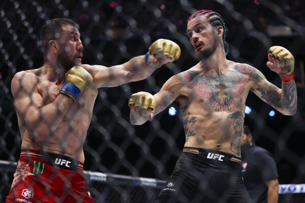 Merab Dvalishvili, left, fights Sean O'Malley in a bantamweight mixed martial arts title bout during UFC 306 at the Sphere, Saturday, Sept. 14, 2024, in Las Vegas. (Wade Vandervort/Las Vegas Sun via AP, file)