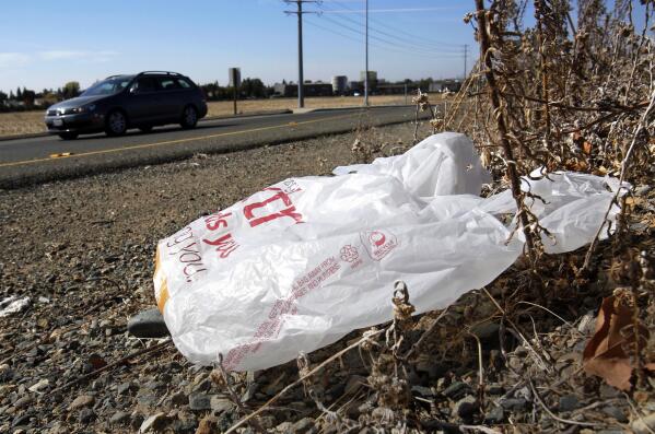 Think those bags are recyclable? California says think again - Los Angeles  Times