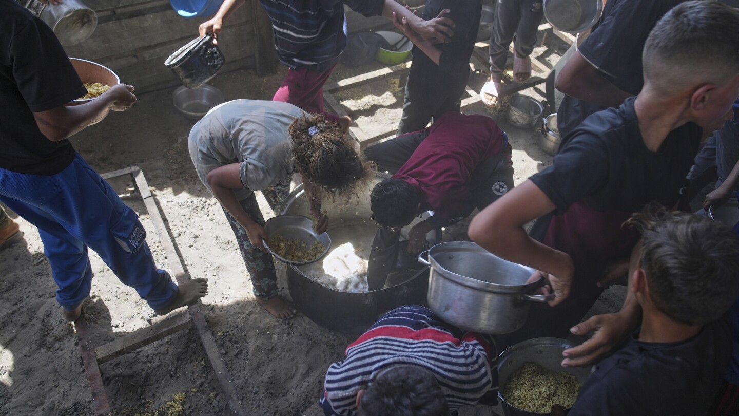 Meals safety mavens warn Gaza is at vital possibility of famine if Israel does not finish its blockade