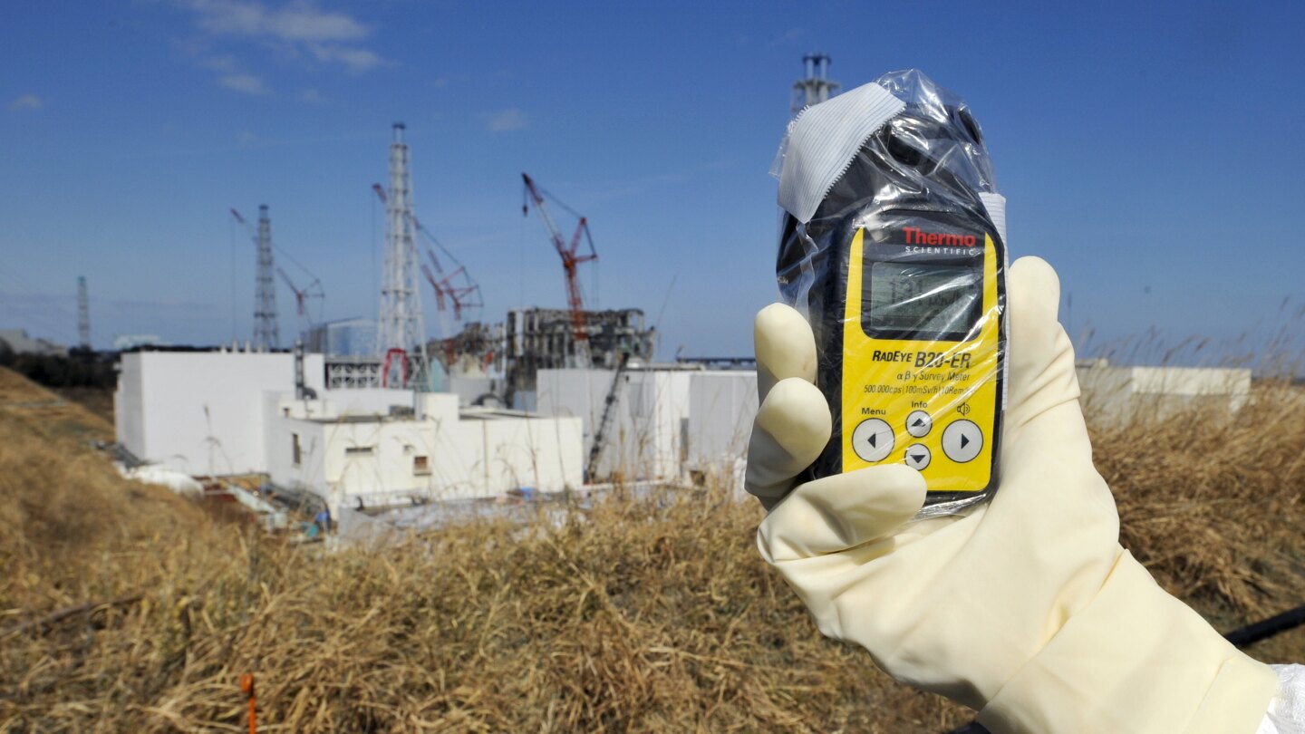 Slightly radioactive soil from Fukushima will be used in the prime minister's flower beds