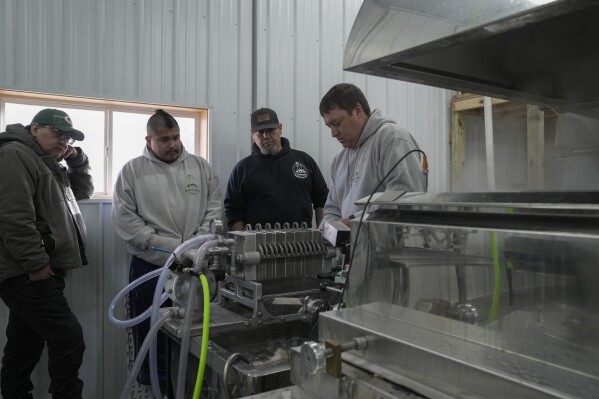 Joe Shepard, right, loads plates into a filter press as he shows how to run a maple syrup evaporator, Monday, Feb. 26, 2024, at Bodwéwadmi Ktëgan, farm of the Forest County Potawatomi tribe, in Laona, Wis. Shepard, the assistant farm manager there who's lived in northern Wisconsin his whole life, said he can't remember a winter like this, with no snow. (AP Photo/Joshua A. Bickel)