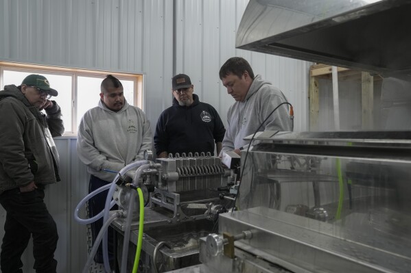 Joe Shepard, right, loads plates into a filter press as he shows how to run a maple syrup evaporator, Monday, Feb. 26, 2024, at Bodwéwadmi Ktëgan, farm of the Forest County Potawatomi tribe, in Laona, Wis. Shepard, the assistant farm manager there who's lived in northern Wisconsin his whole life, said he can't remember a winter like this, with no snow. (AP Photo/Joshua A. Bickel)