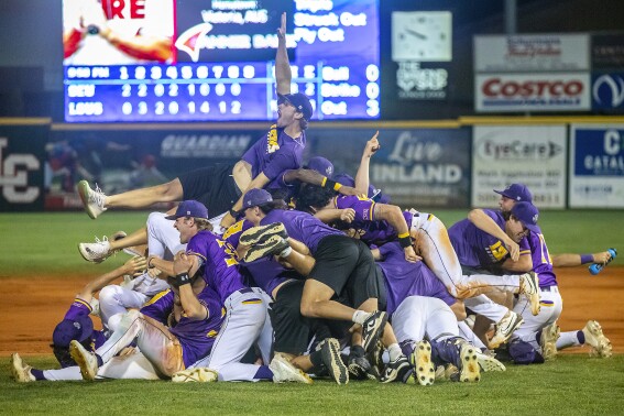 LSU Shreveport celebrates after defeating Southeastern of Florida to win the championship game of the NAIA World Series college baseball game, Friday, May 30 2025, at Harris Field in Lewiston, Idaho. (August Frank/Lewiston Tribune via AP)