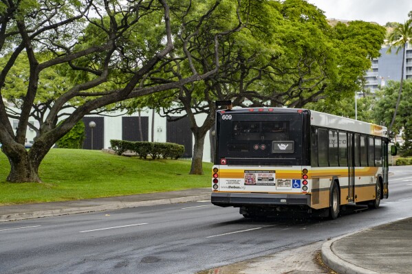 A Honolulu City Bus, TheBus, displays a shaka after merging to Alapai Street on Wednesday, March 6, 2024, in Honolulu, Hawaii. (AP Photo/Mengshin Lin)