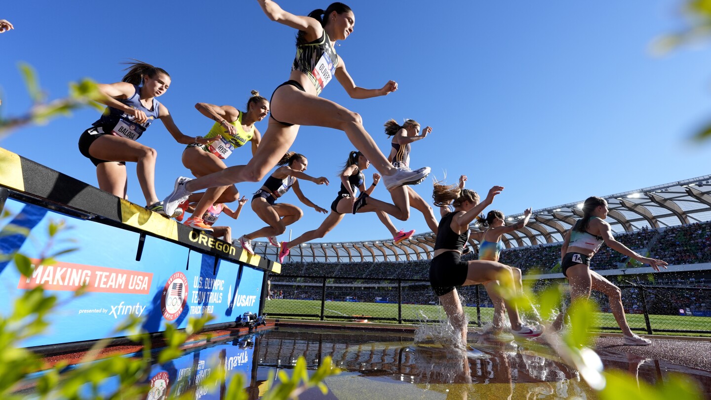Weekly Collection of Global Sports Photos by Associated Press
