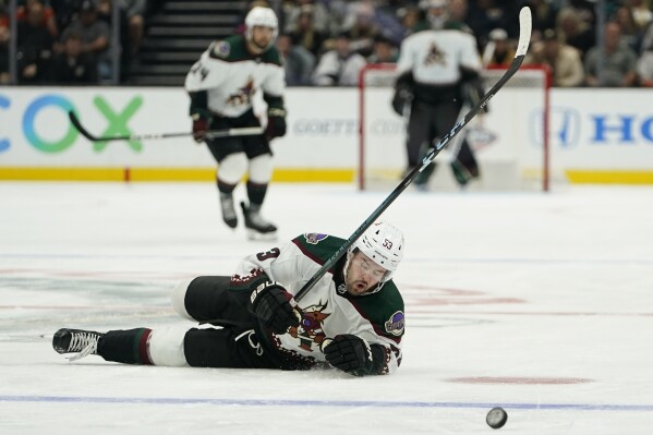 Arizona Coyotes left wing Michael Carcone falls while chasing the puck during the second period of the team's NHL hockey game against the Anaheim Ducks on Wednesday, Nov. 1, 2023, in Anaheim, Calif. (AP Photo/Ryan Sun)