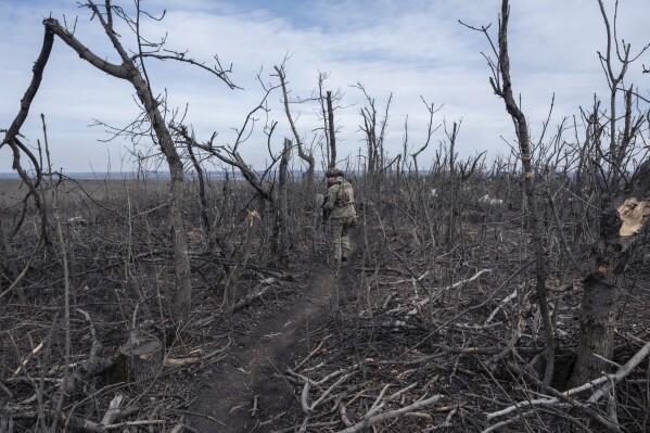 A Ukrainian soldier walks in position on the front-line near Klishchyivka, Donetsk region, Ukraine, Monday, March 18, 2024. (Iryna Rybakova via AP)