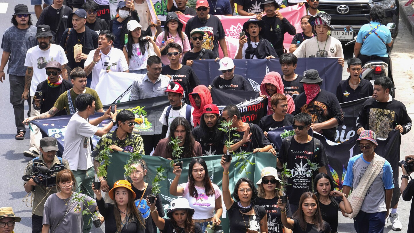 Thai Government Faces Protests Over Cannabis Criminalization