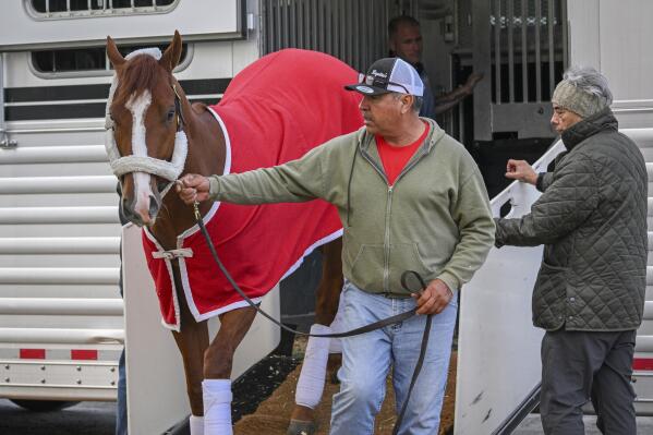 Kentucky Derby winner Mage arrives at Pimlico Race Course early Sunday, May 14, 2023 to prepare for this weekend's Preakness Stakes as trainer Gustavo Delgado, Sr., right, looks on. (Jerry Jackson/The Baltimore Sun via AP)
